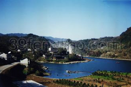 桑植县举办蜜蜂养殖实用技术培训班 推动政策引进助力产业发展